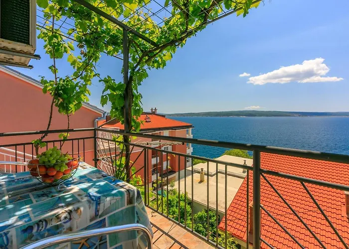 Apartment Brana
