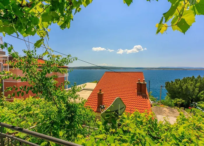 Apartment Brana *